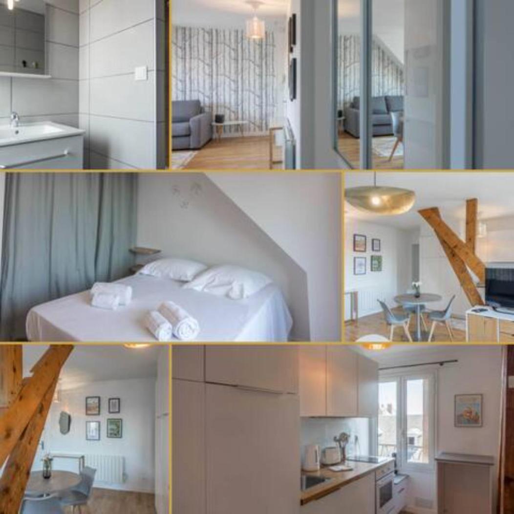 Le Vieux Marche *T2* Leilighet Orléans Eksteriør bilde